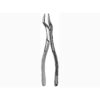 32 Parmly Upper Universal Forceps
