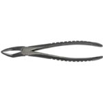 51A Upper Roots Forceps