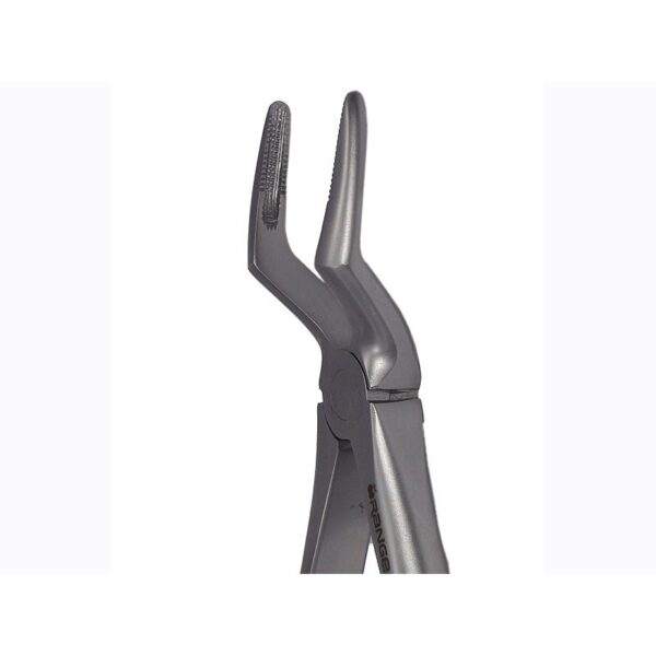 51A Upper Roots Forceps