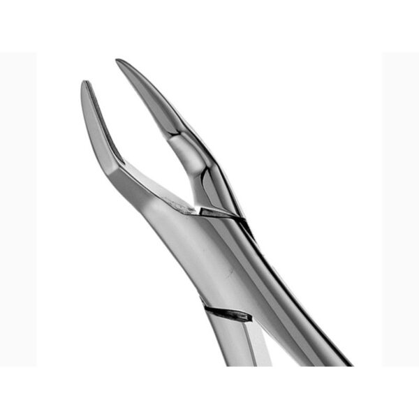 65 Upper Roots Forceps