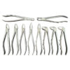 Extraction Forceps Set