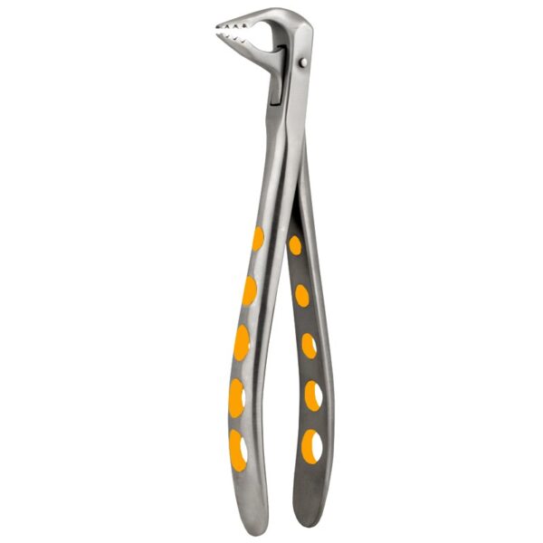 Lower Anterior eXcel ™ Forceps Gold