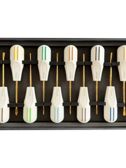 Luxating Elevator Set