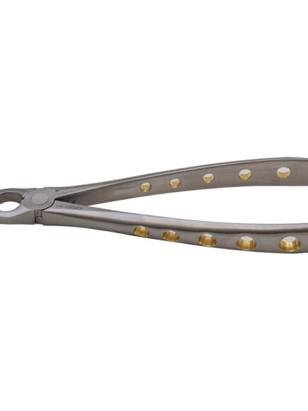 Upper Anterior