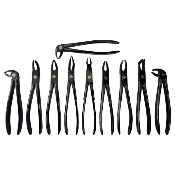 Extracting Forceps Set