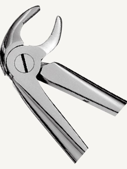 13 Lower Premolars Forceps