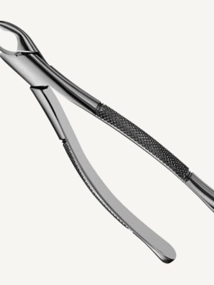 150A Upper incisors And premolars Forceps