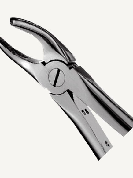 17 Right Upper Molars Forceps