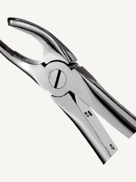 17 Right Upper Molars Forceps