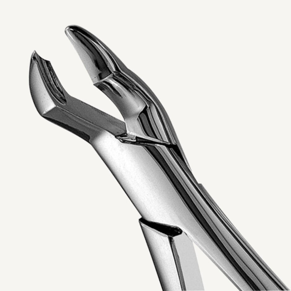 53L Upper Molar Forceps