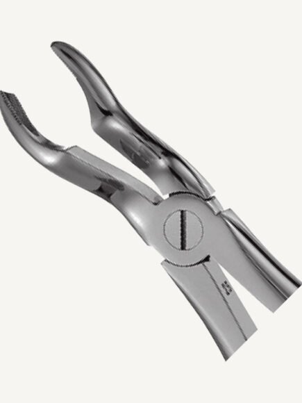 67A Upper third Molars Forceps