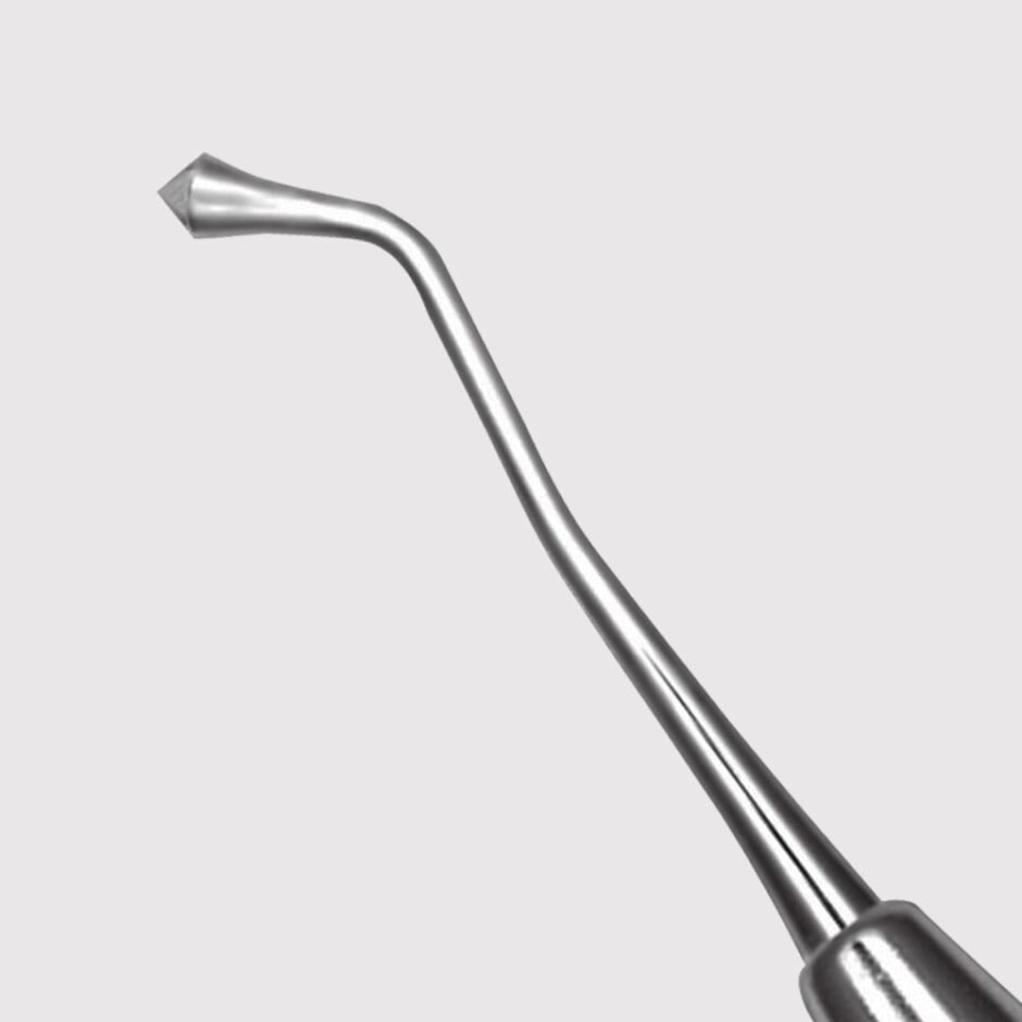 Acorn Burnisher 21 - Image 2