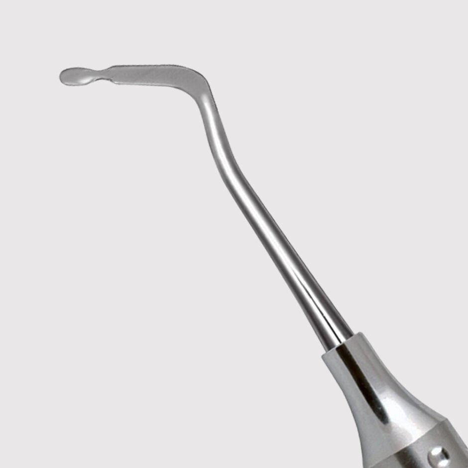BN1 - Image 2
