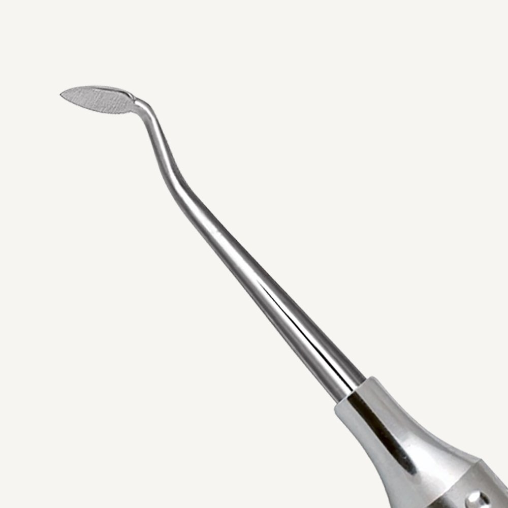 Cleoid Discoid Carver 3