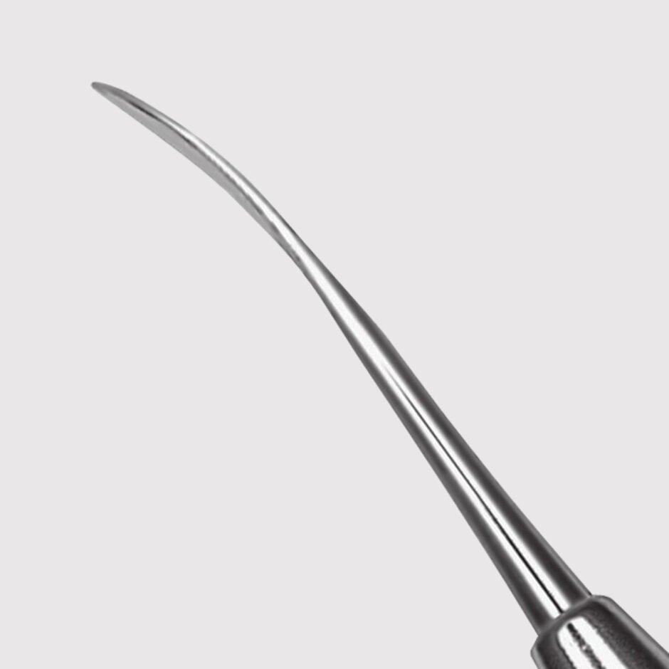 Egg/Beavertail Burnisher 2/29 - Image 2