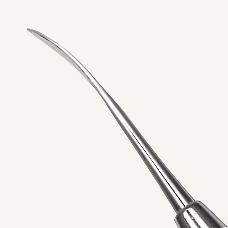 Egg/Beavertail Burnisher 2/29 - Orange Instruments