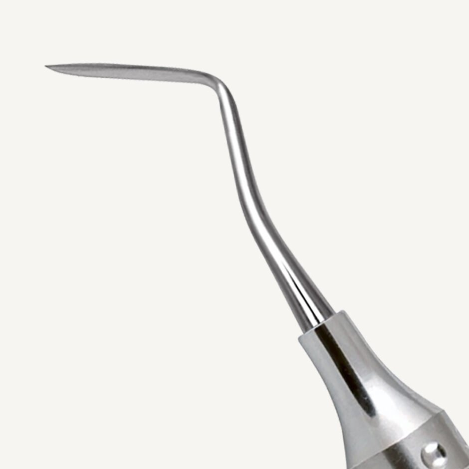 Hollenback Carver 3