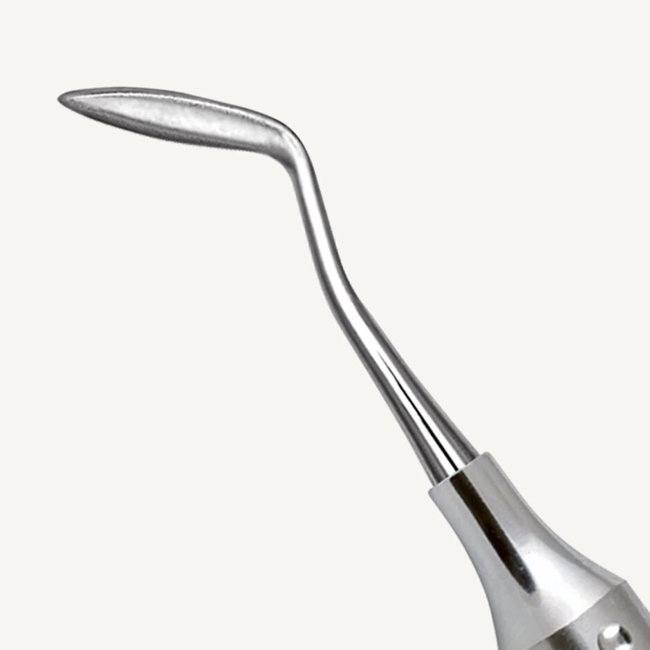 Hollenback Carver 3