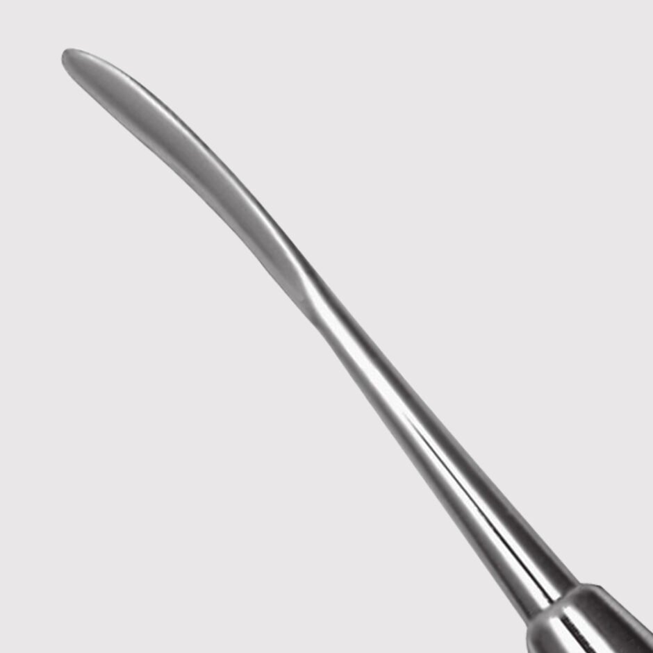 Ladmore/Beavertail Burnisher 2 - Image 2