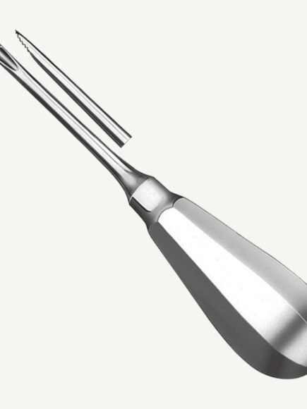 Lindo Levien Elevator