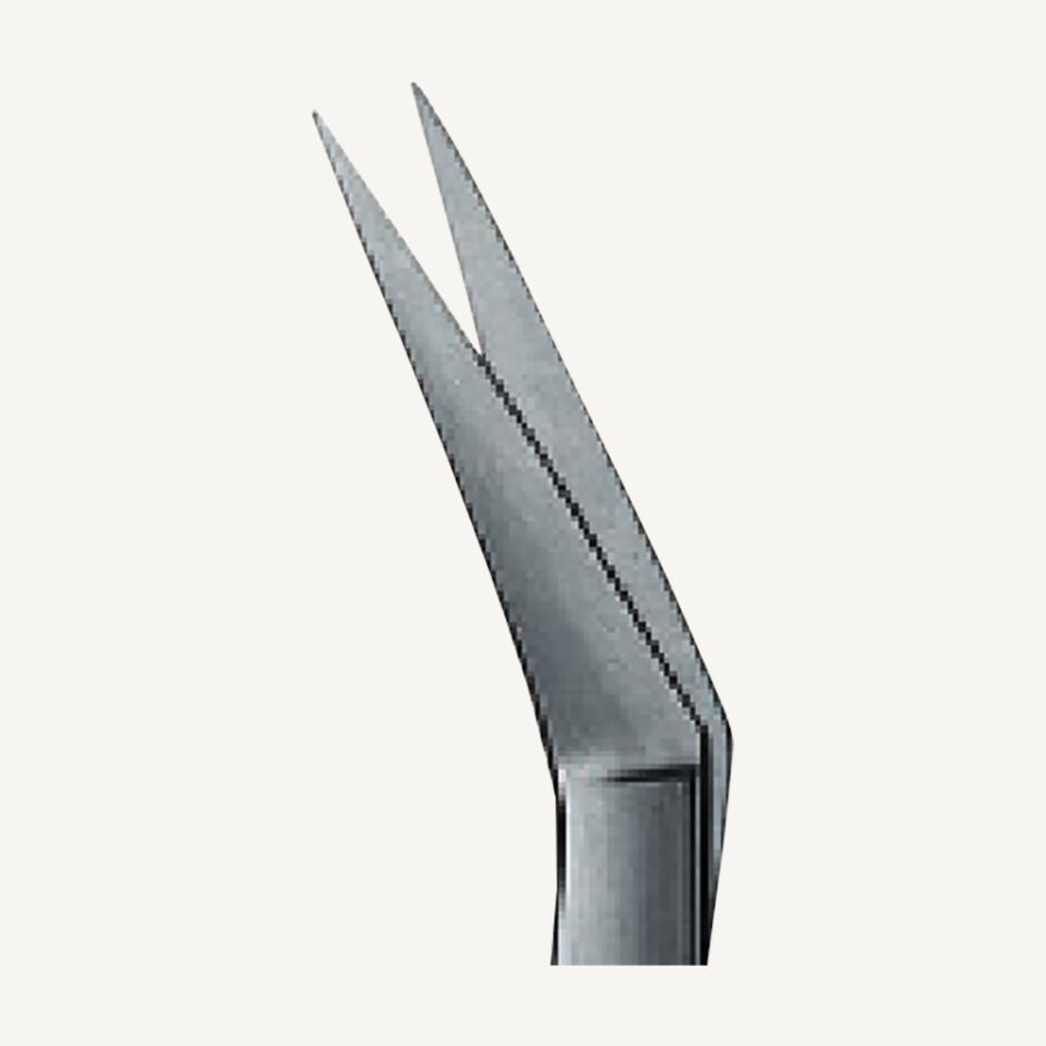 Scissors