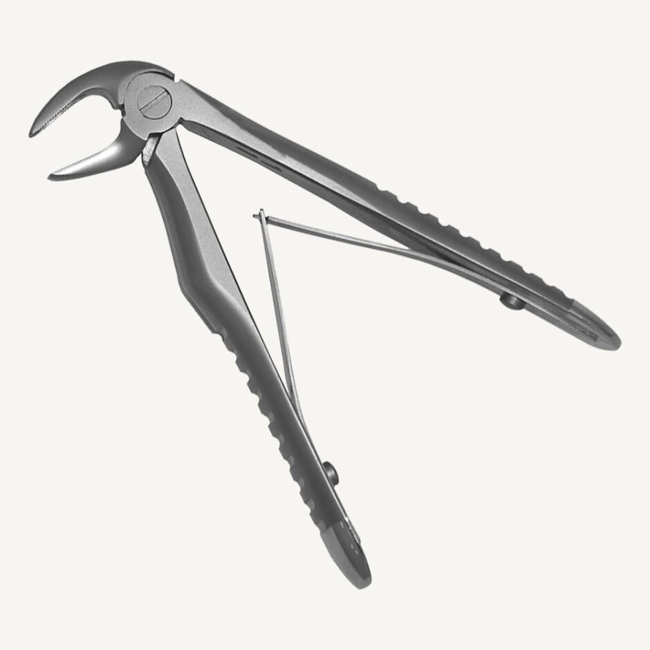 Lower Molars