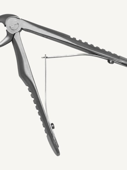 Lower Molars And Premolars