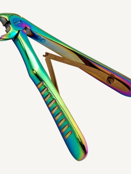 Lower Molars And Premolars