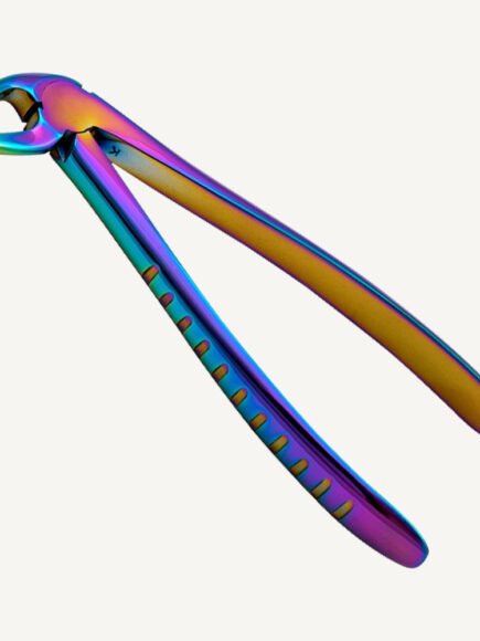 Lower Premolars