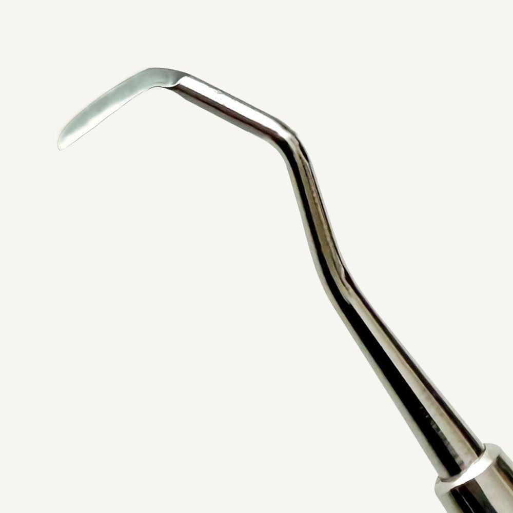 Tanner 6 Carving Knife