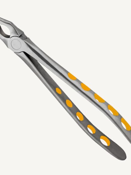 Upper Anterior eXcel ™ Forceps Gold