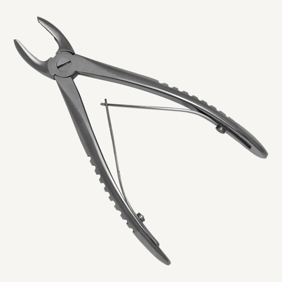 Upper Premolars
