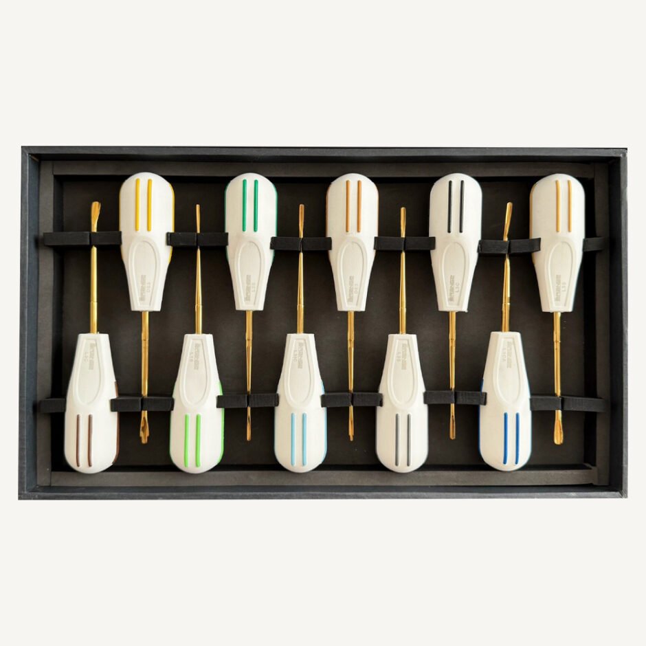 Luxating Elevator Set