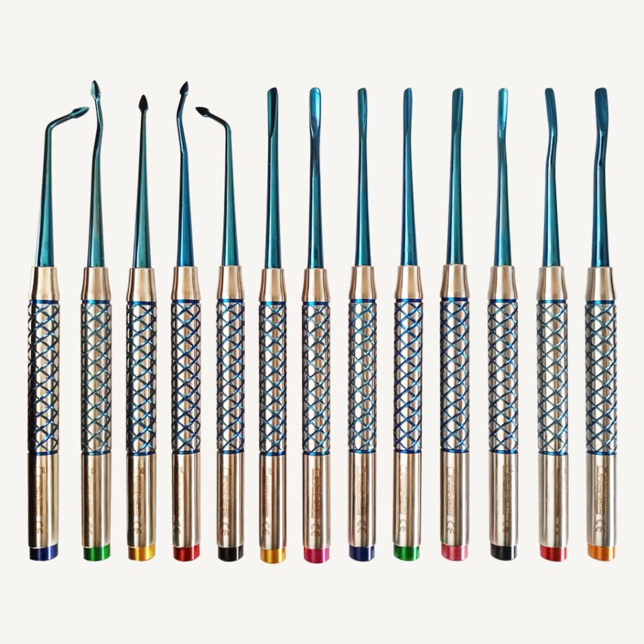 PDL Luxating Elevators Set Blue