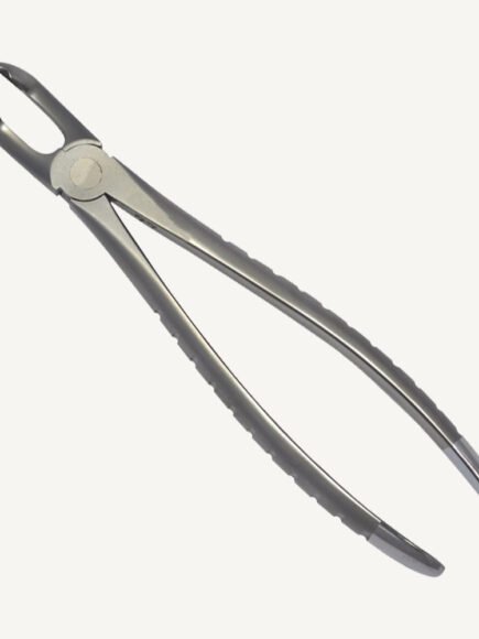 79 Lower 3rd Molars Forceps